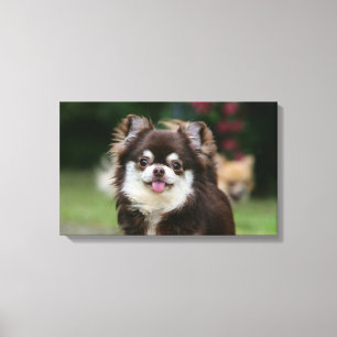 Toile Headshot aux cheveux longs 1 de chiwawa