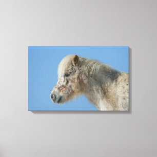 Toile Headshot miniature de cheval