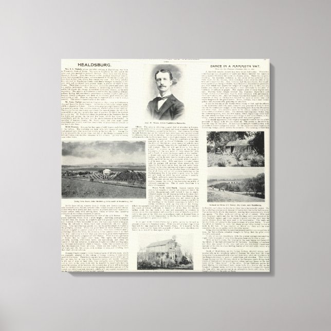 Toile Healdsburg, Californie (Recto)