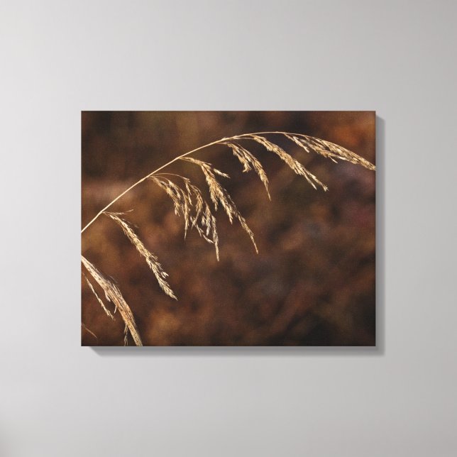 Toile Herbe d'hiver (Recto)