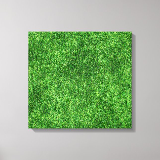 Toile Herbe verte (Recto)