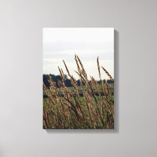 Toile Herbes soufflant dans le vent