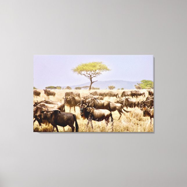 Toile Herd Of GNU Wildbeest (Recto)