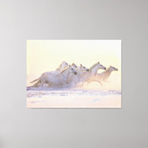 Toile Herd of Horses Running on the Beach Canvas Imprime