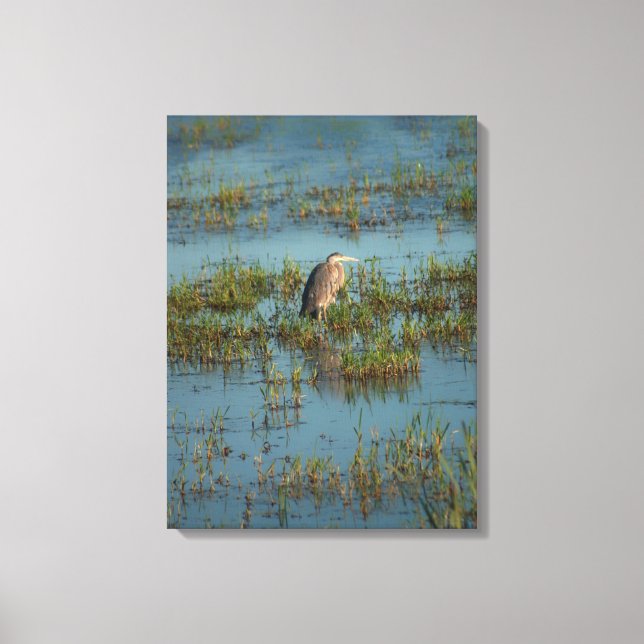 Toile Heron 6937 (Recto)