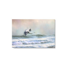 Héron bleu à la plage