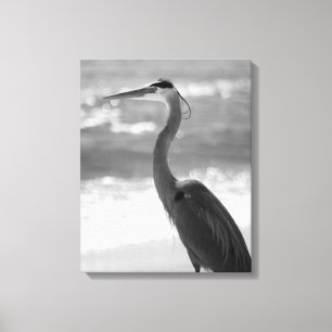 Toile Heron noir et blanc sur la plage 16x20