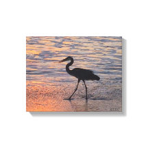 Heron tôt le matin marcher