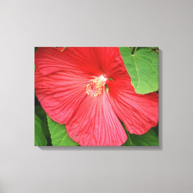 Toile Hibiscus Flower Bright Magenta (Recto)