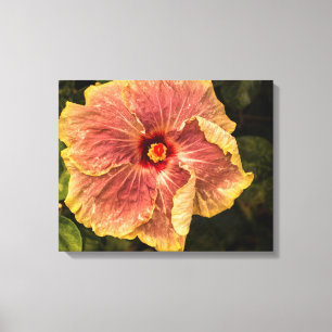 Toile Hibiscus hawaïen Lilac de Kauai Photo