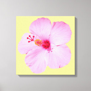 Toile Hibiscus rose Fleur tropicale