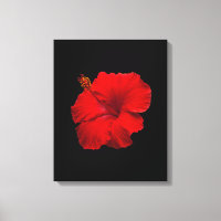 Hibiscus rouge sur le noir - Modèle Customisé