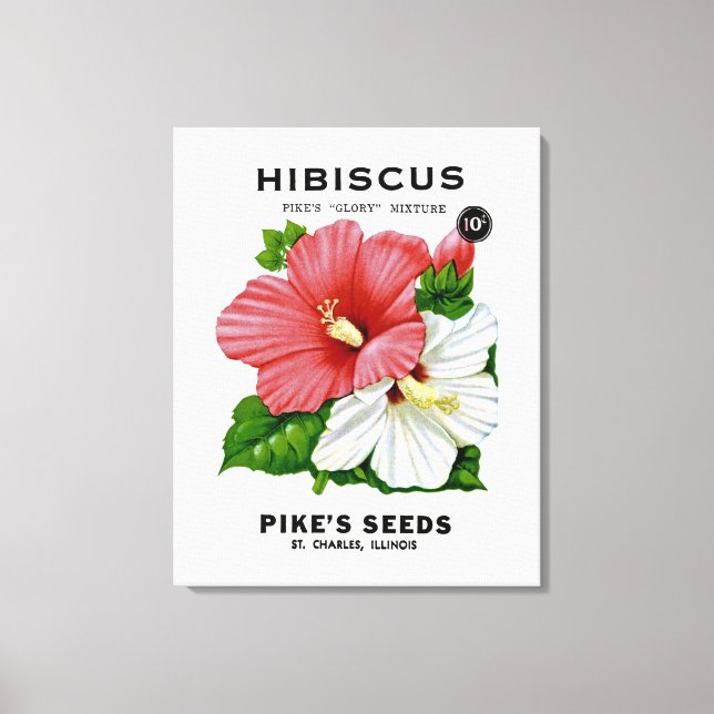 Toile Hibiscus Vintage Seed Packet (Recto)