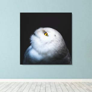 Toile Hibou des neiges blanc d'hiver