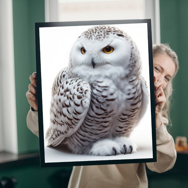Toile Hibou des neiges boréal (Créateur téléchargé)