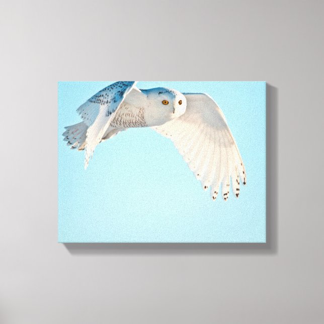 Toile Hibou des neiges en vol (Recto)
