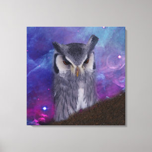 Toile Hibou et ciel sacrés d'imaginaire