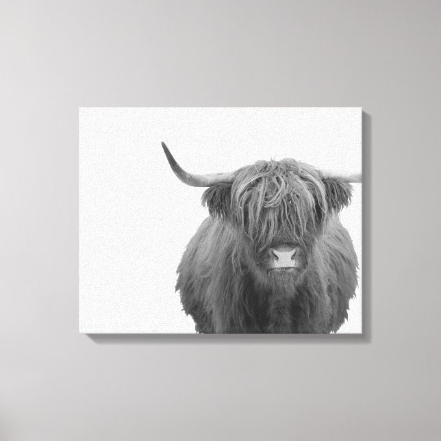 Toile Highland Cow Scotland Russe Noir Blanc (Recto)
