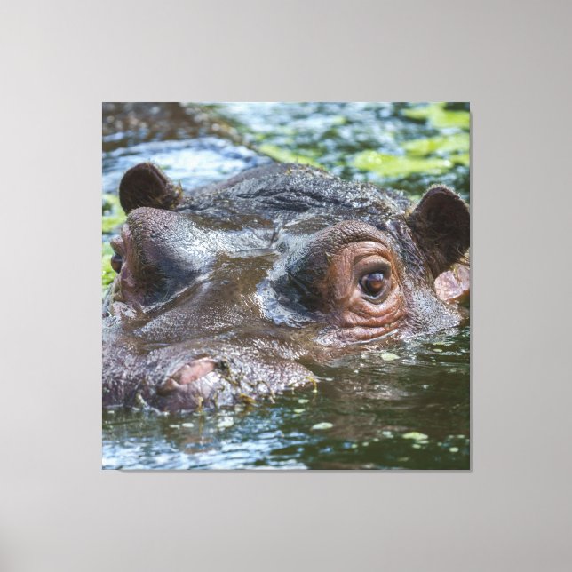 Toile Hippo Dans Le Triptyque De L'Eau (Recto)