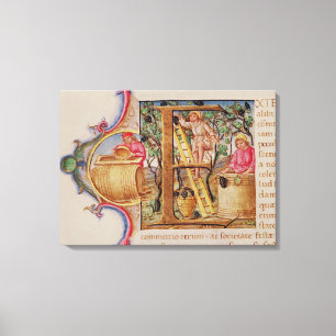 Toile Historiated parafent "E" dépeignant la cueillette