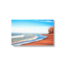 Hiver de l'île Presque