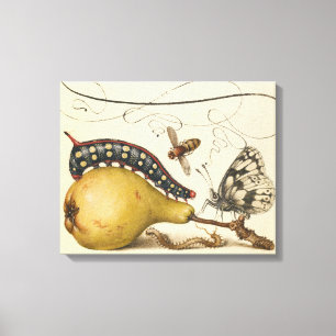 Toile Hoefnagel Vintage Poire & Insectes 1500 Renaissanc