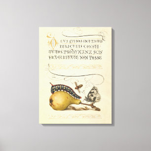 Toile Hoefnagel Vintage Poire & Insectes 1500 Renaissanc
