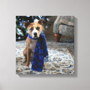 Toile Holiday Cheer from Pit Bull Rescue Dog