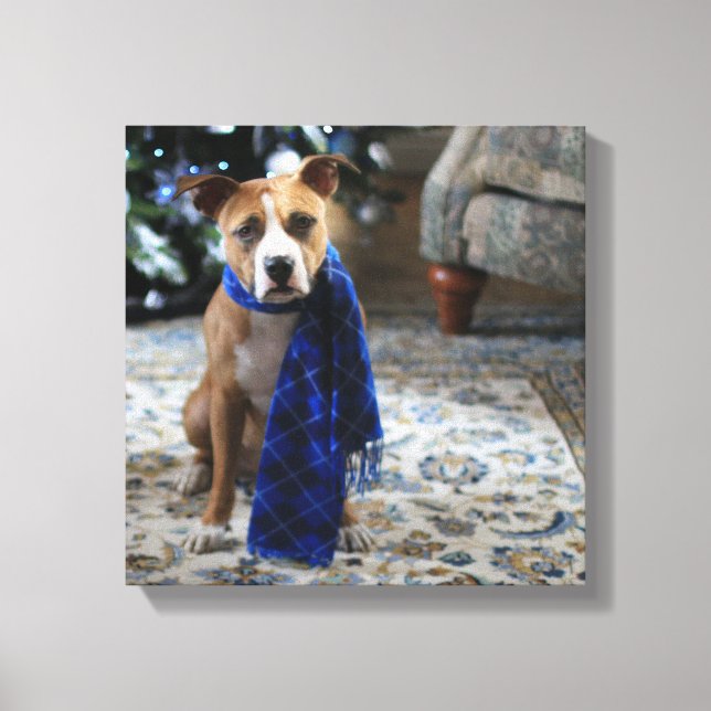 Toile Holiday Cheer from Pit Bull Rescue Dog (Recto)