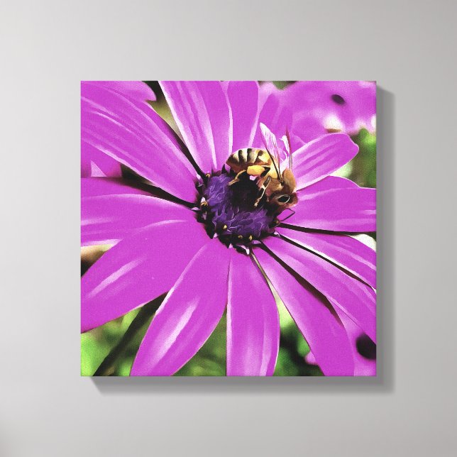Toile Honey Bee Sur Un Daisy Africain Violet (Recto)