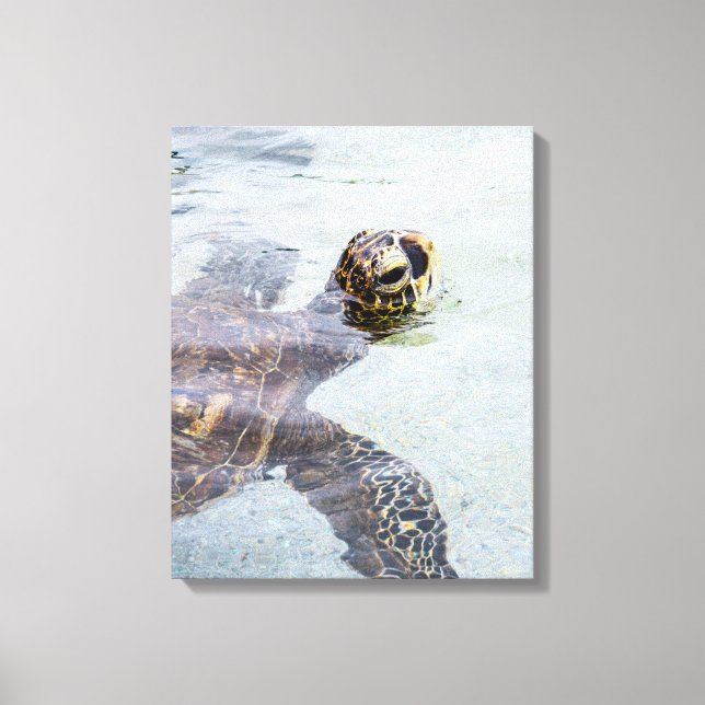 Toile Honu Hawaiian Sea Turtle - Hawaii Turtles (Recto)