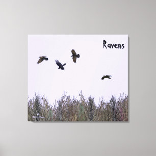 Toile Horloge des ravens