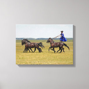 Toile Horseman hongrois et chevaux