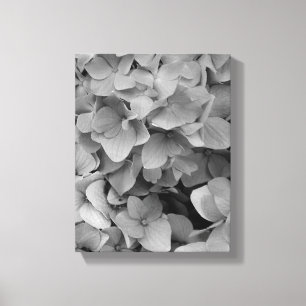 Toile Hortensia
