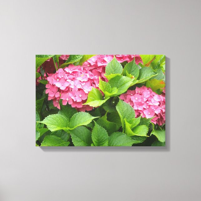 Toile Hortensias rose vif (Recto)