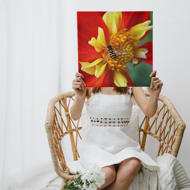 Toile Hover Fly on Orange Collarette Dahlia Floral (Créateur téléchargé)