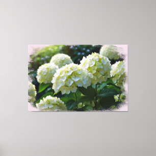 Toile *~* Huile Hydrangea TV2 Art Stretted Canvas Imprim