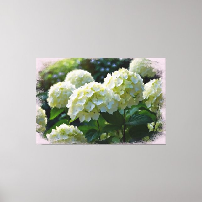 Toile *~* Huile Hydrangea TV2 Art Stretted Canvas Imprim (Recto)