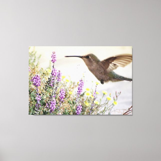 Toile Hummingbird and Wildflowers Digital Art (Recto)
