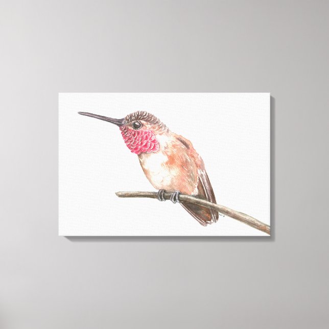 Toile Hummingbird watercolor (Recto)