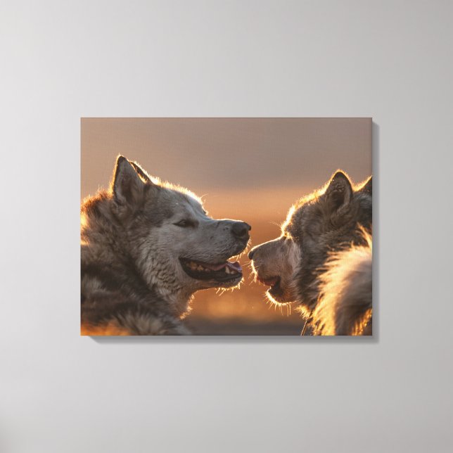 Toile Huskies Dogs Photo (Recto)