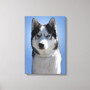 Toile Husky Imprimer Étitré Husky Malamute Canvas Chien