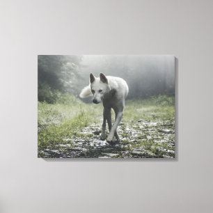 Toile Husky Sibérien Blanc