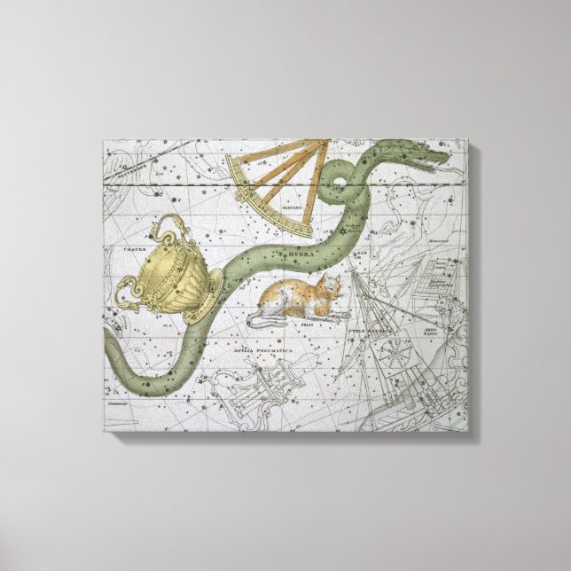 Toile Hydra, de "A Celestial Atlas", pub. en 1822 (col. (Recto)