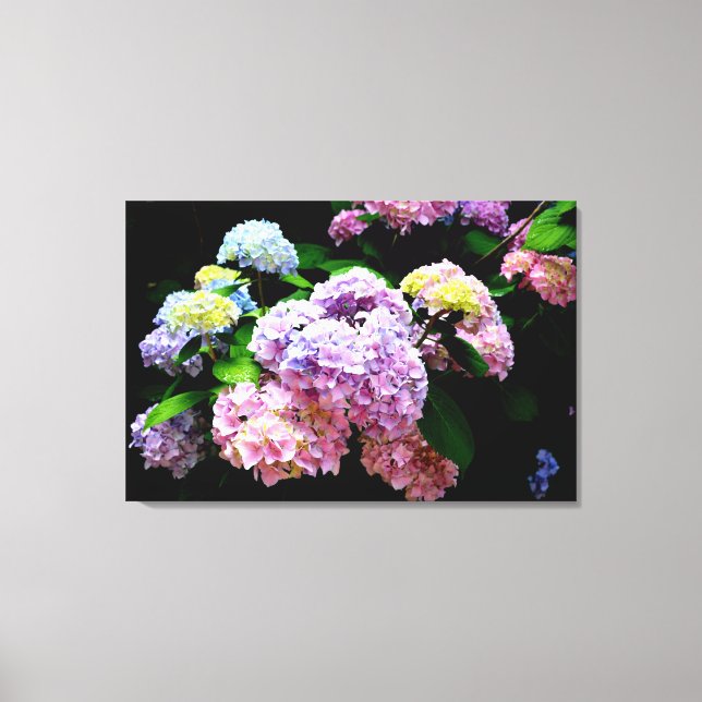 Toile Hydrangea garden, rose, bleu, purple floral (Recto)