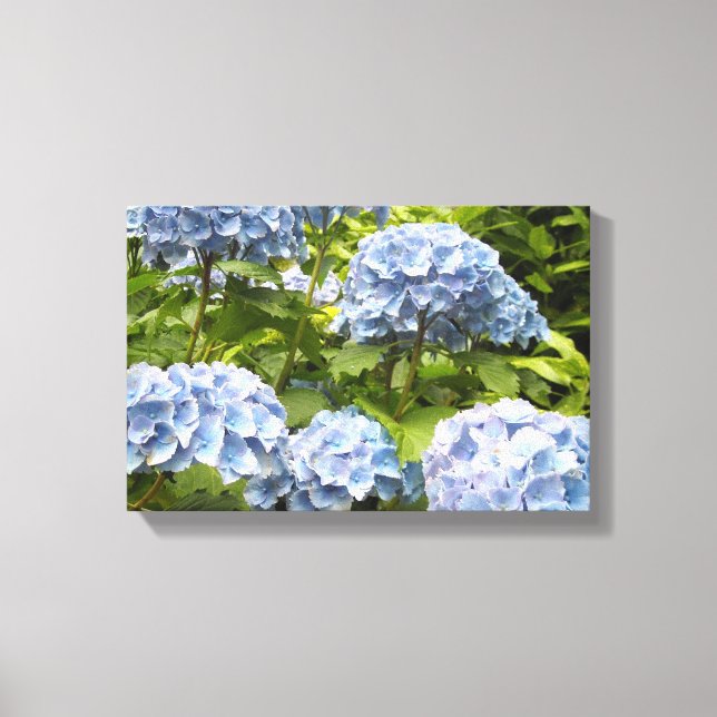 Toile Hydrangeas Bleu Profond (Recto)