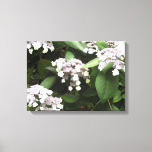 Toile Hydrangeas délicates