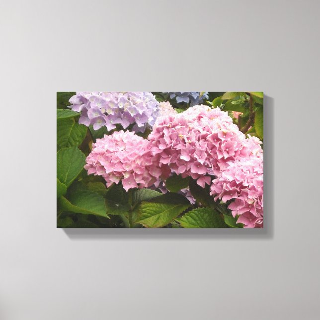 Toile Hydrangeas Élégantes (Recto)