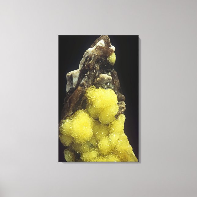 Toile Hydroboracite sur Gorgeyite, Kazakhstan (Recto)