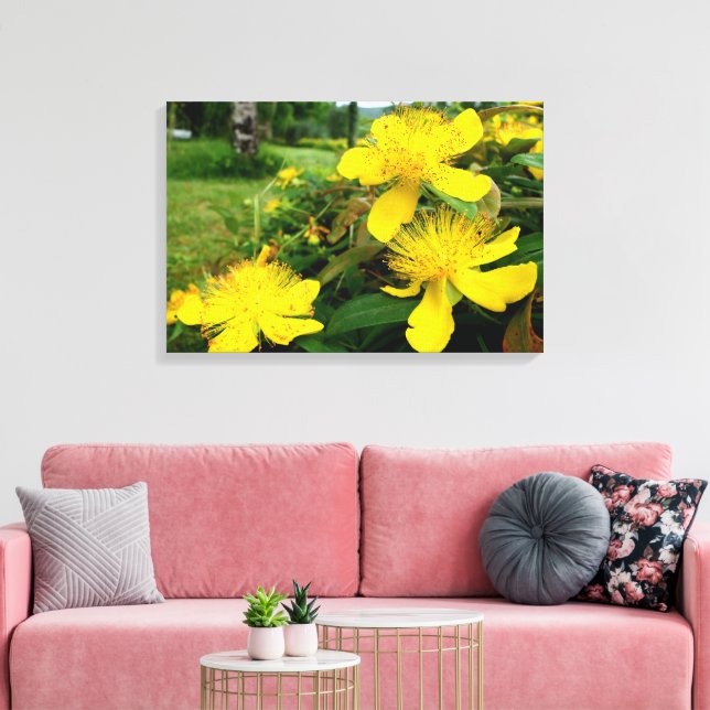 Toile Hypericum calycinum (Insitu(Salon))